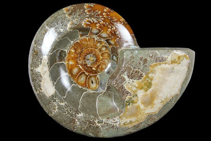 Wide Polished Fossil Ammonite Dish - Inlaid Ammonite #133247